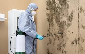 Mold Remediation for Vacation Homes in River Hills, WI